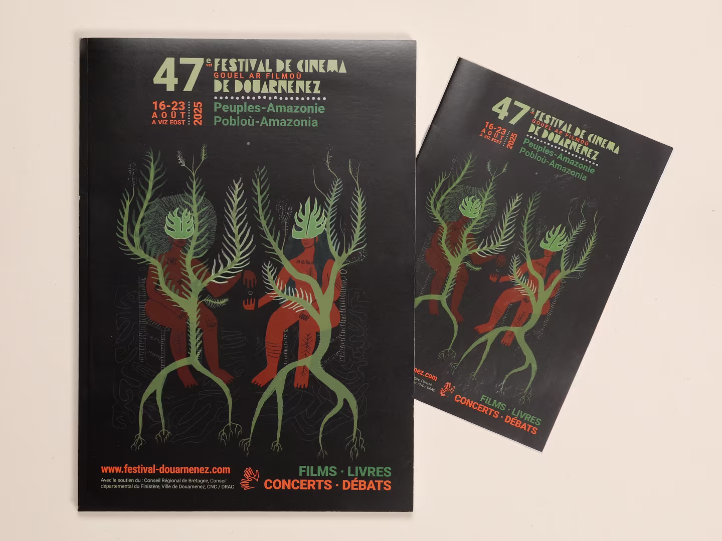 Festival de cinéma de Douarnenez