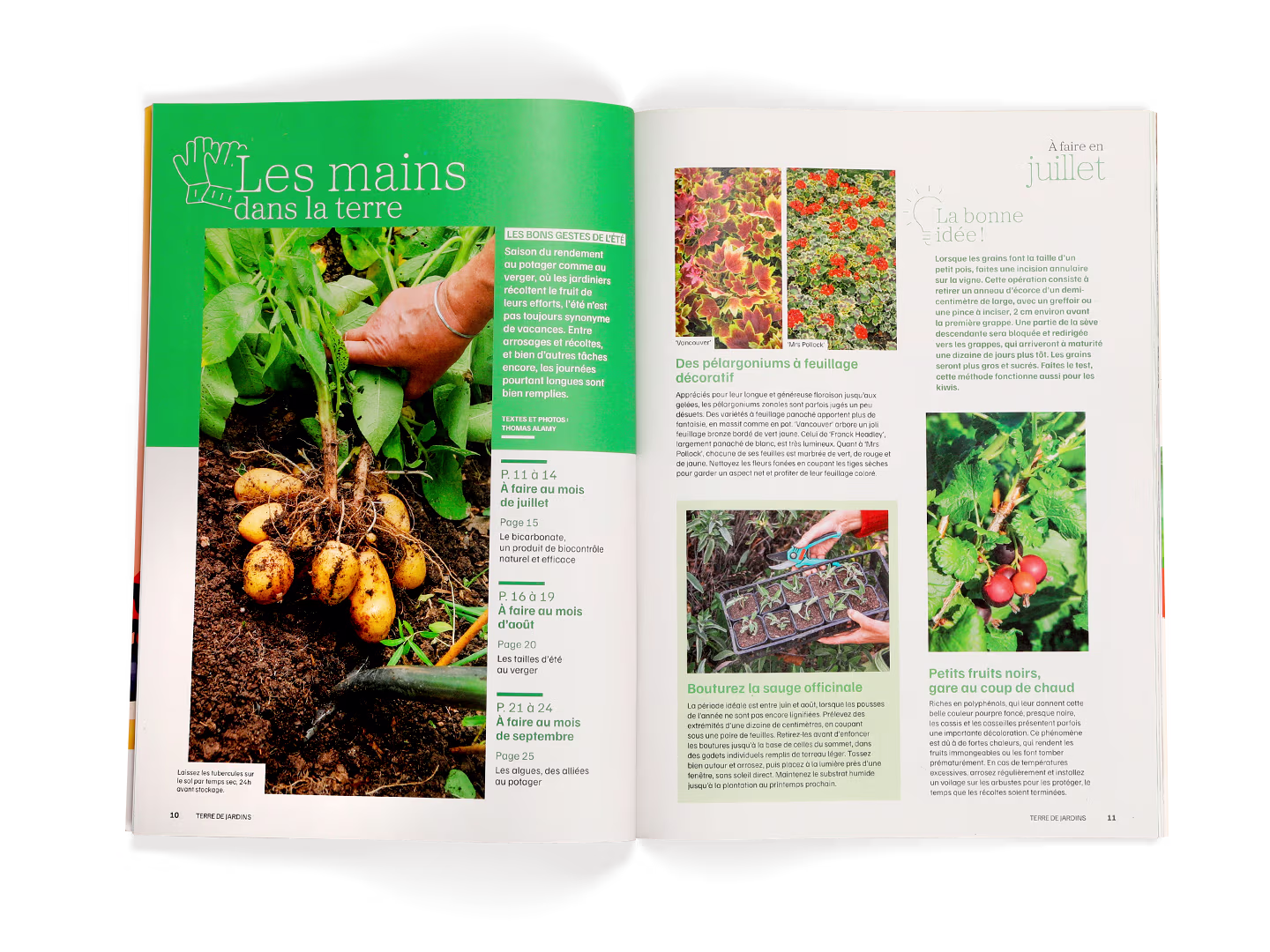 Terre de Jardins