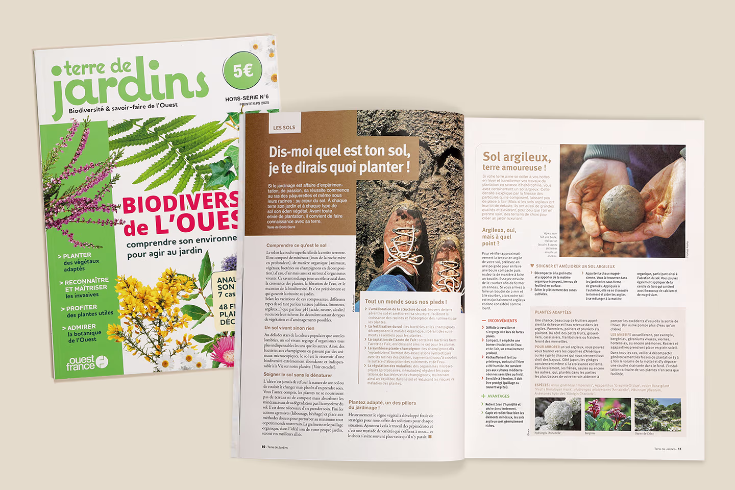 Terre de Jardin